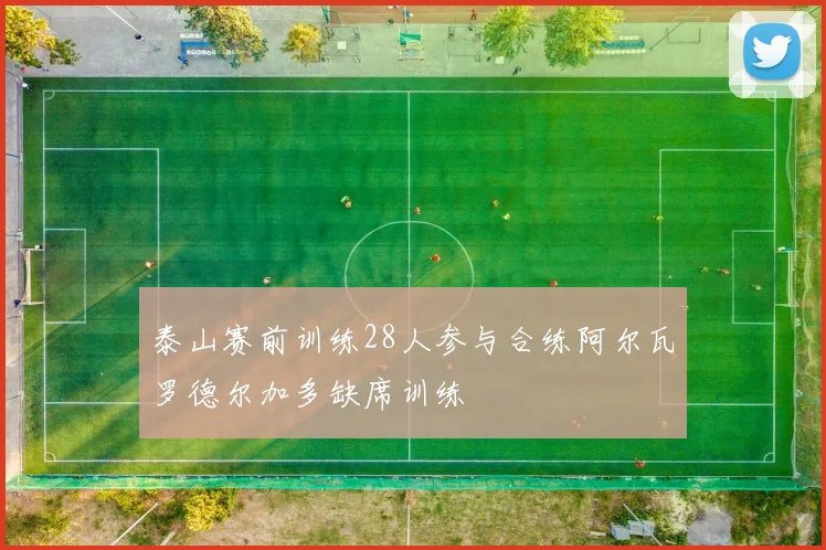 泰山赛前训练28人参与合练阿尔瓦罗德尔加多缺席训练